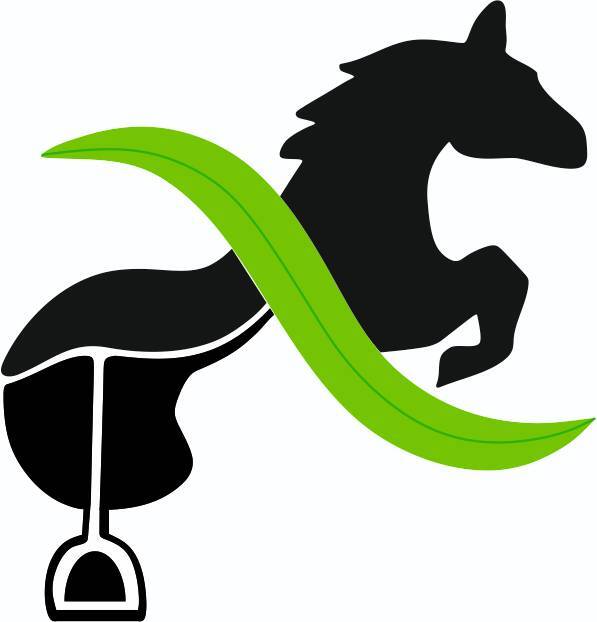 قوانین تجربه سوارکاری مجموعه برگ و زین